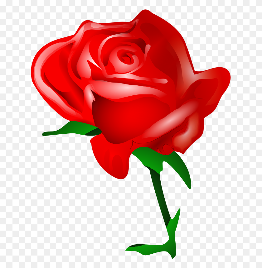 641x800 Free Clipart Red Rose Tomas Arad - Red Rose Clip Art
