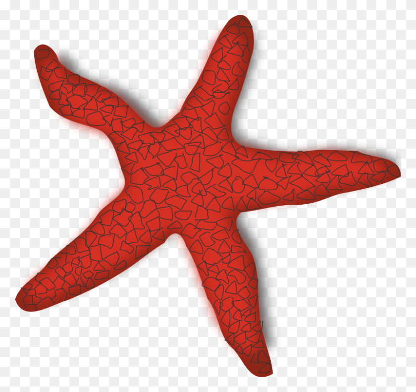 800x750 Бесплатный Клипарт Red Starfish Addon - Картинки Морские Звезды