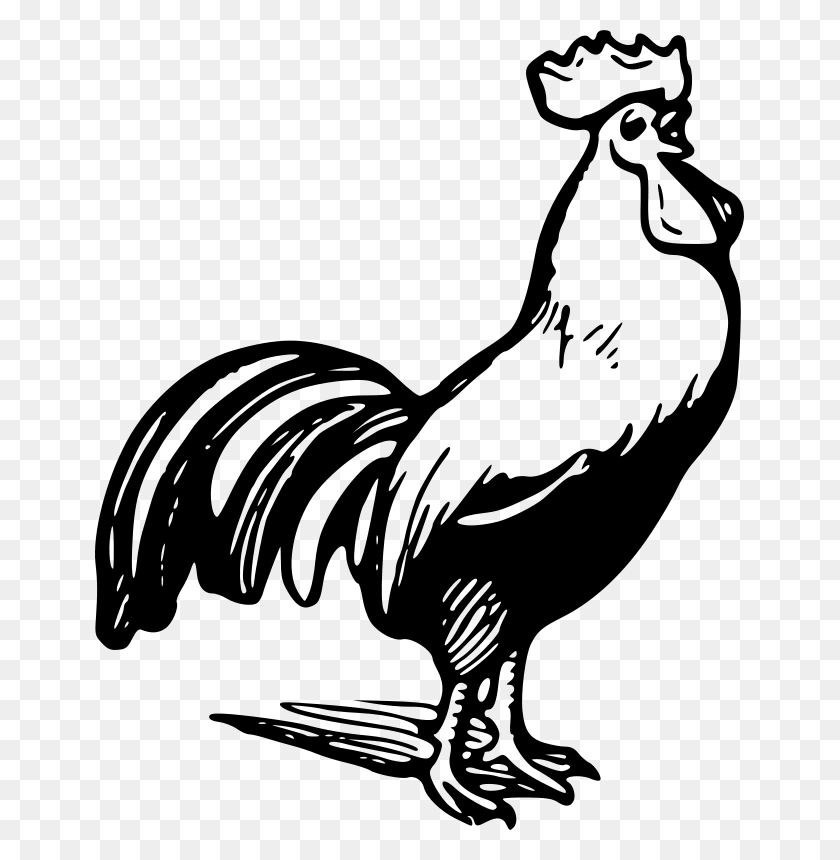 649x800 Free Clipart Rooster Gerald G Clipart Clip Art - Free Chicken Clipart Black And White