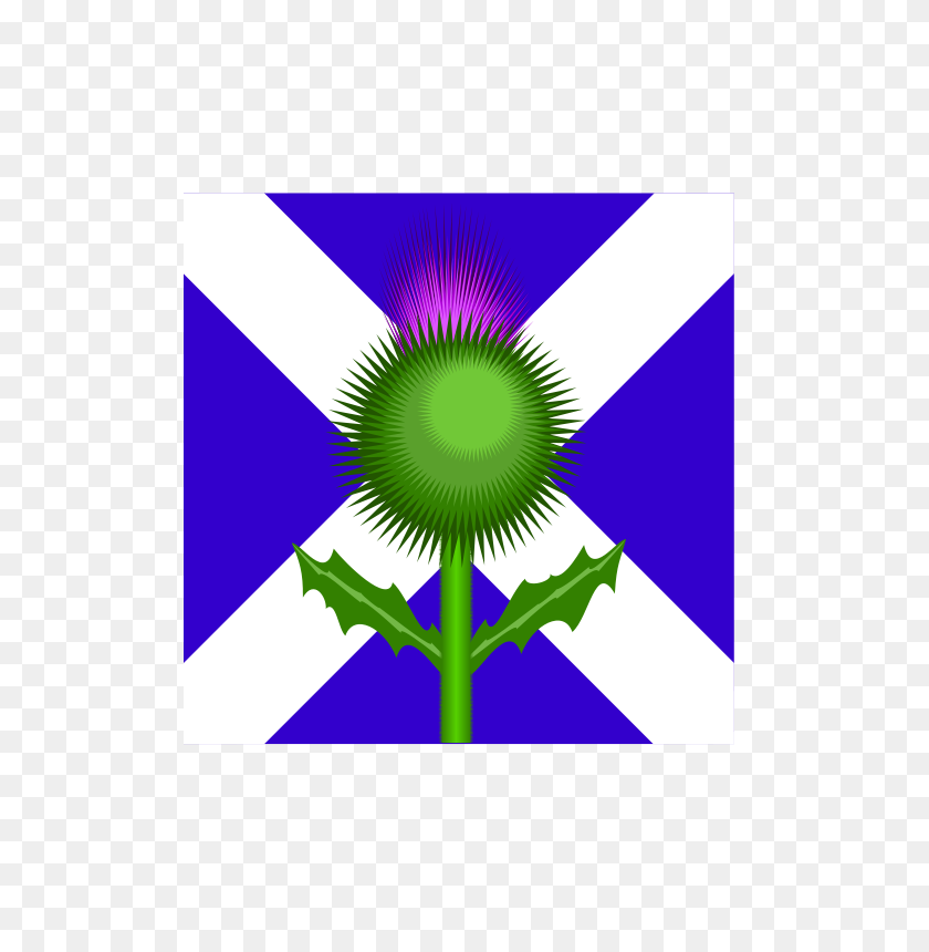 566x800 Free Clipart Scottish Thistle And Flag Kevie - Scottish Thistle Clipart