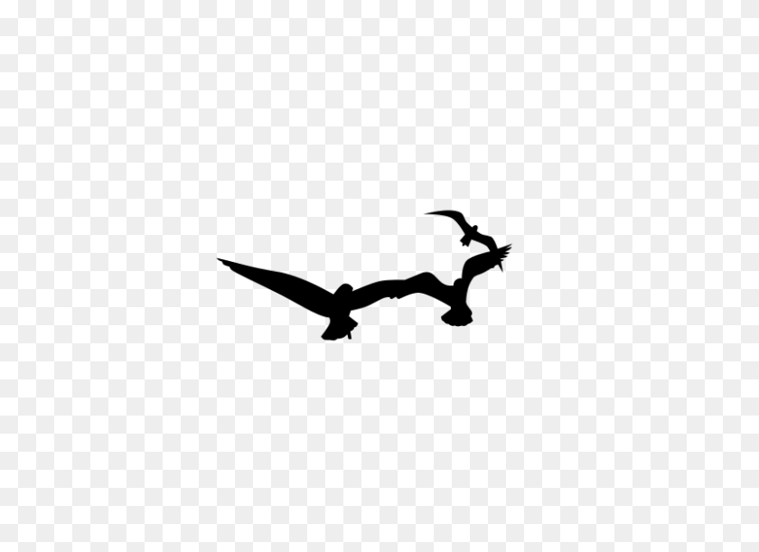 800x566 Free Clipart Seagulls Last Dino - Seagull Clipart Black And White
