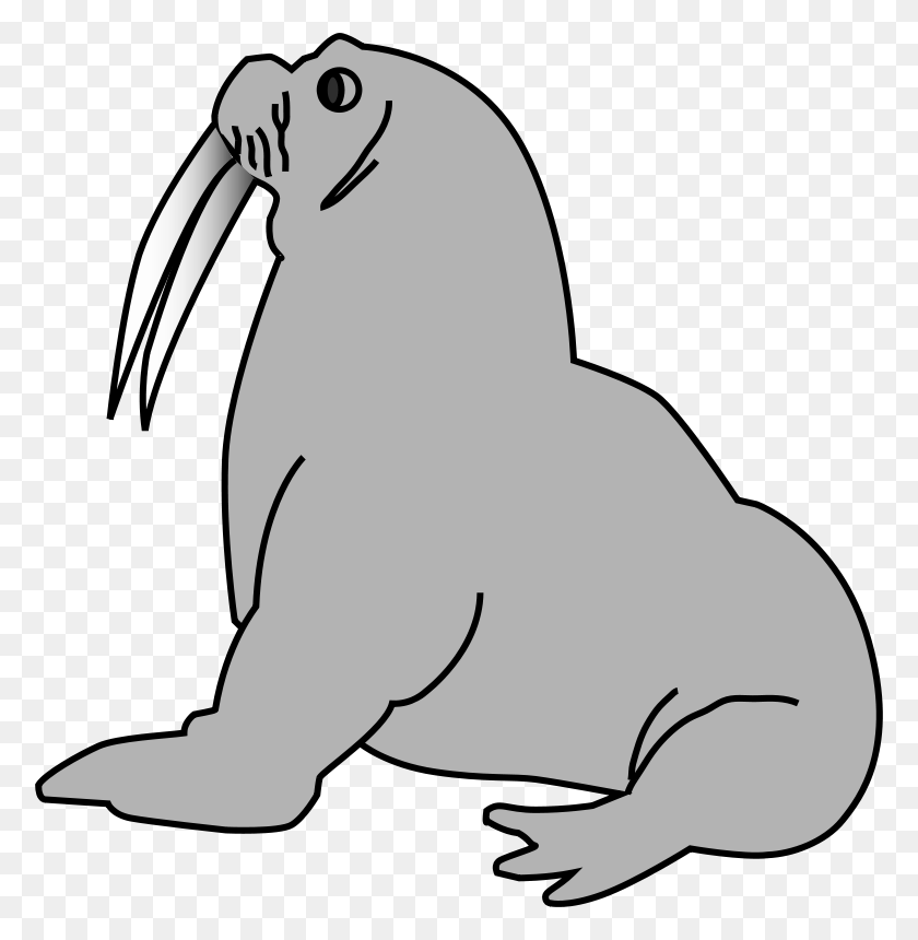 776x800 Free Clipart Seal Anonymous - Seal Black And White Clipart