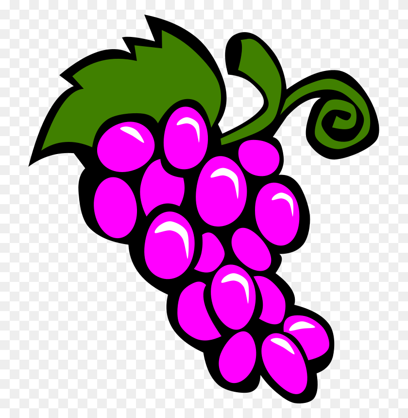 723x800 Free Clipart Simple Fruit Grapes Gerald G - Grapes Clipart