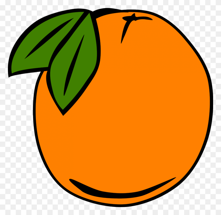 800x780 Free Clipart Simple Fruit Orange Gerald G - Orange Fruit Clipart