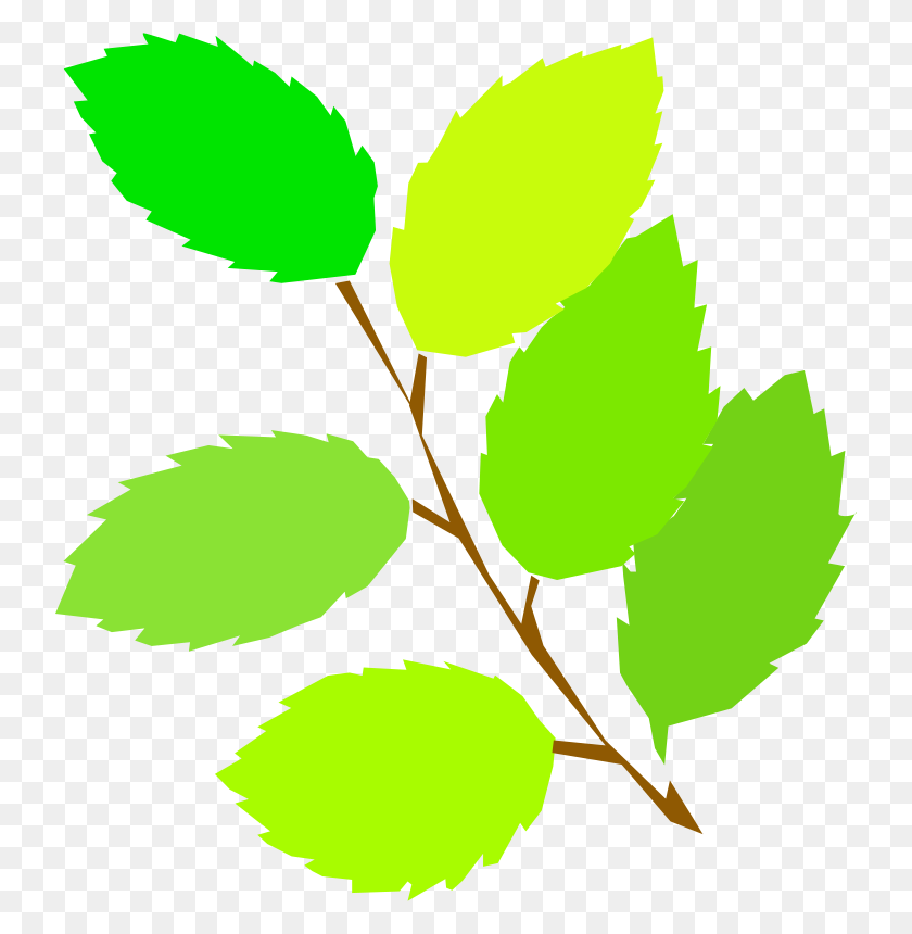 738x800 Free Clipart Simple Spring, New Leaves Tom - Tom Clipart