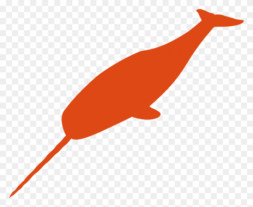 800x643 Free Clipart Small Narwhal Squiggle - Рыбка Клипарт