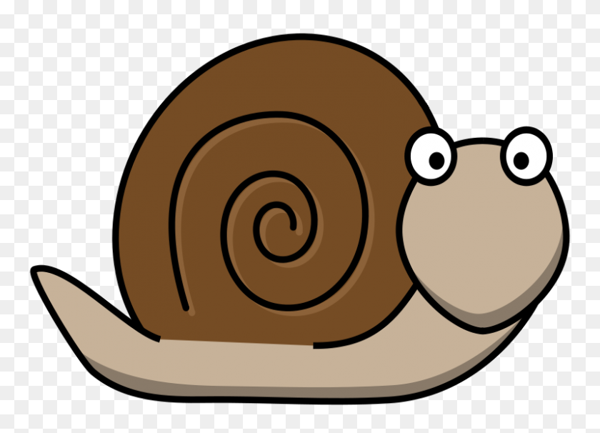 800x560 Free Clipart Snail - Snail Clipart