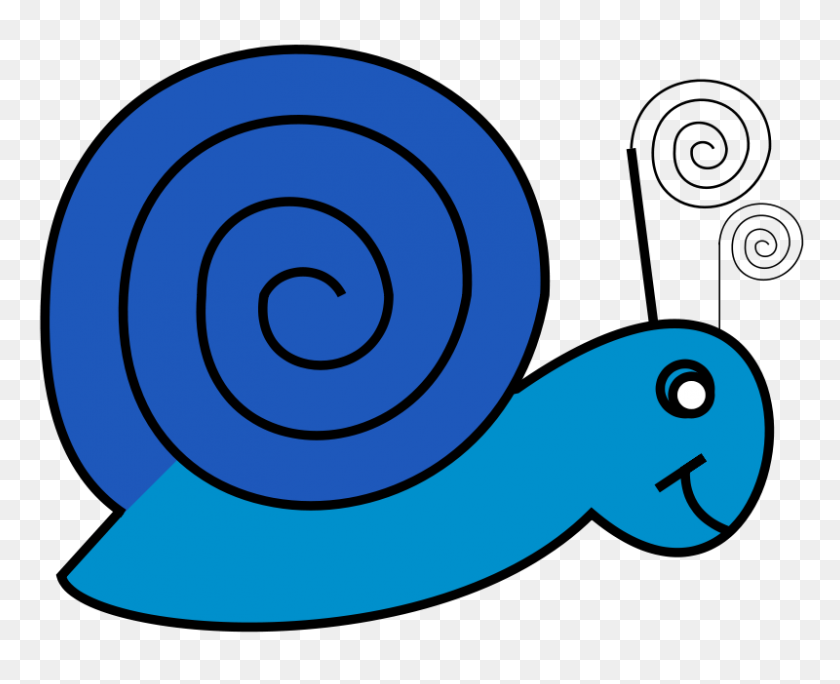 800x640 Бесплатный Клипарт Snail Doodle Jaynick - Doodle Clipart