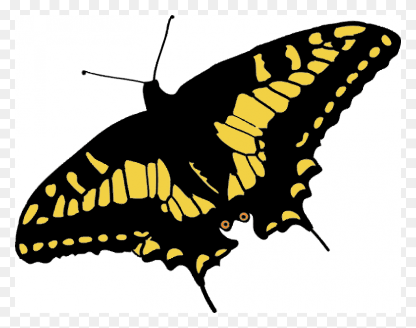 800x619 Free Clipart Speaking Man - Yellow Butterfly PNG
