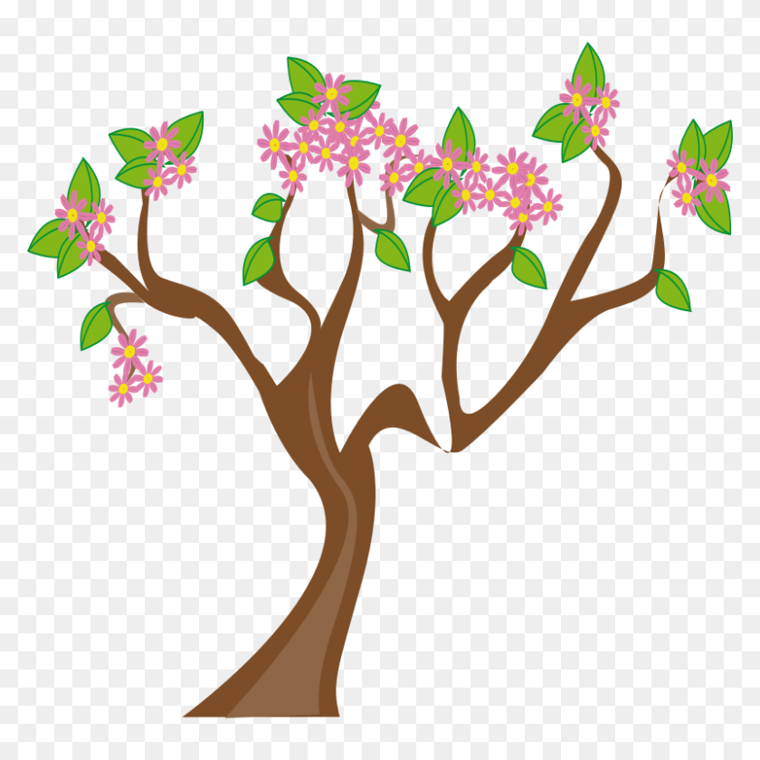 800x800 Весеннее Дерево - Бесплатный Клипарт Весенние Цветы