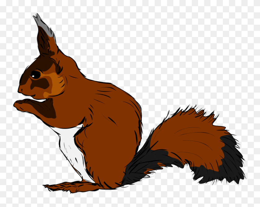 800x627 Free Clipart Squirrel Pesasa - Free Squirrel Clipart