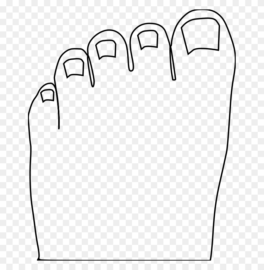 661x800 Free Clipart Toes Outline Evilestmark - Toe Clipart