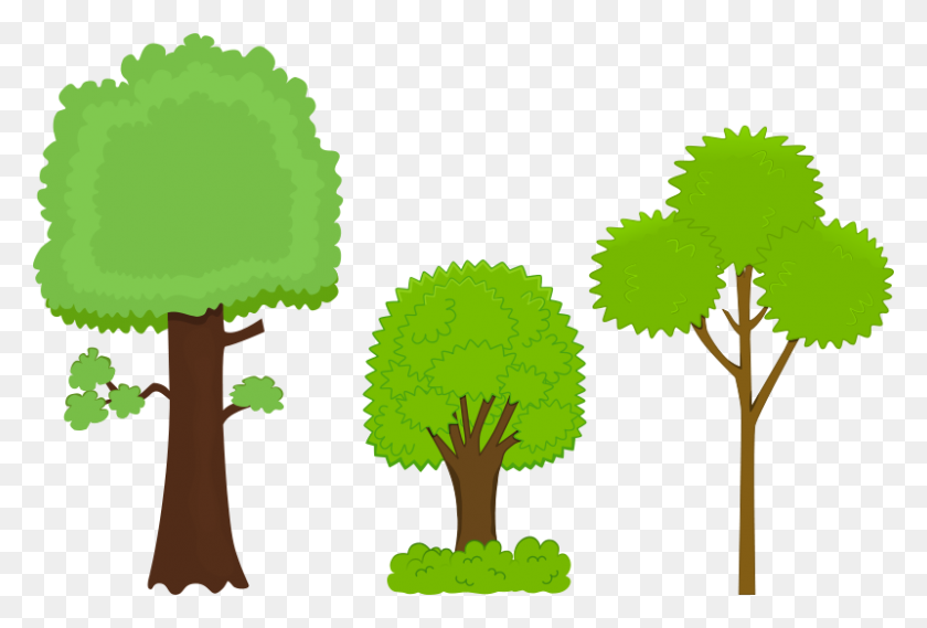 800x523 Бесплатный Клипарт Trees Ahninniah - Arbor Day Clipart