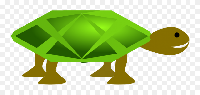 800x350 Free Clipart Turtle Angelo Gemmi - Free Turtle Clipart