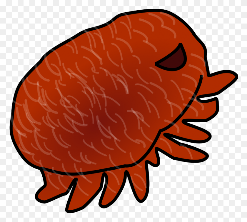 800x713 Free Clipart Varroa Destructor Nbcorp - Hermit Crab Clipart