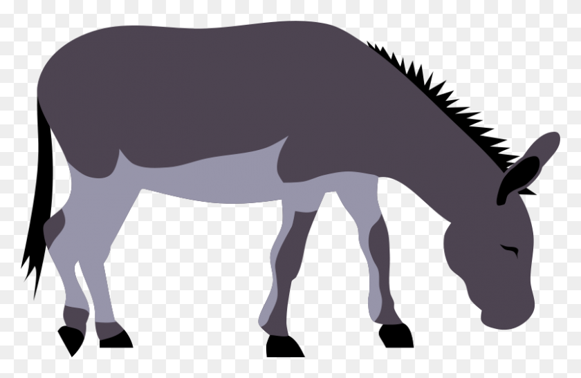800x500 Free Clipart Wild Donkey - Wild Horse Clip Art