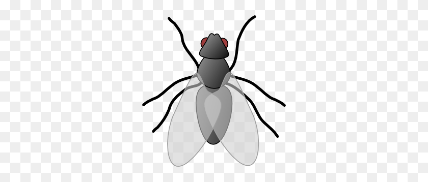 282x298 Imágenes Prediseñadas Gratis De Insectos - Cricket Insect Clipart