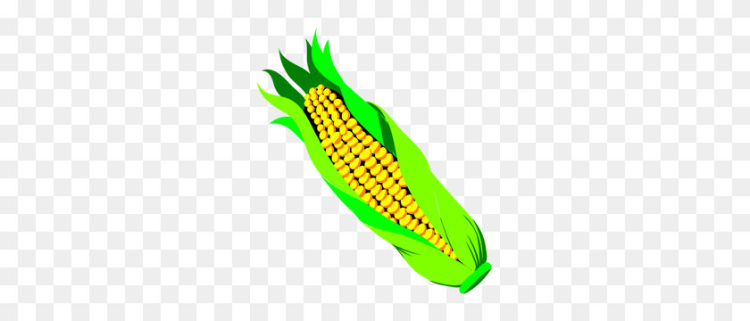 263x300 Free Corn Stalk Vector - Corn Stalk PNG