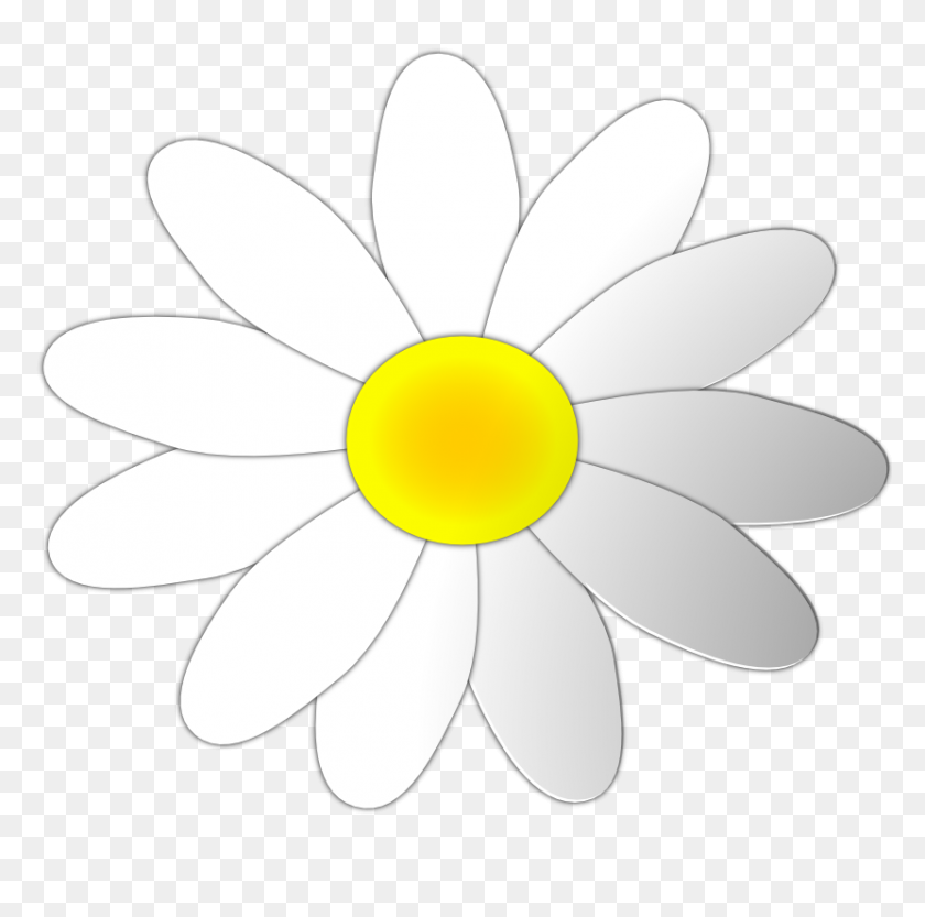 831x824 Free Daisy Clipart - Flower Clipart Outline