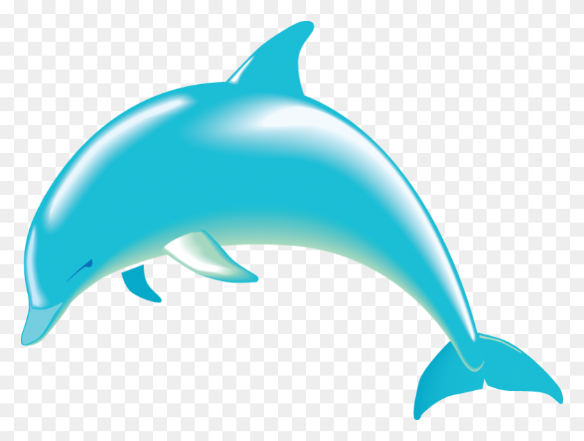 781x575 Клипарт Дельфин - Плавание В Океане