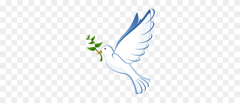 244x300 Free Dove Clipart Png, Dove Icons - Dove Clipart PNG