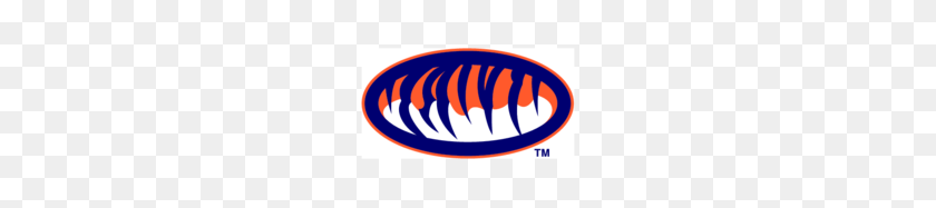 246x127 Бесплатная Загрузка Шаблон Векторных Логотипов Auburn - Логотип Auburn Png