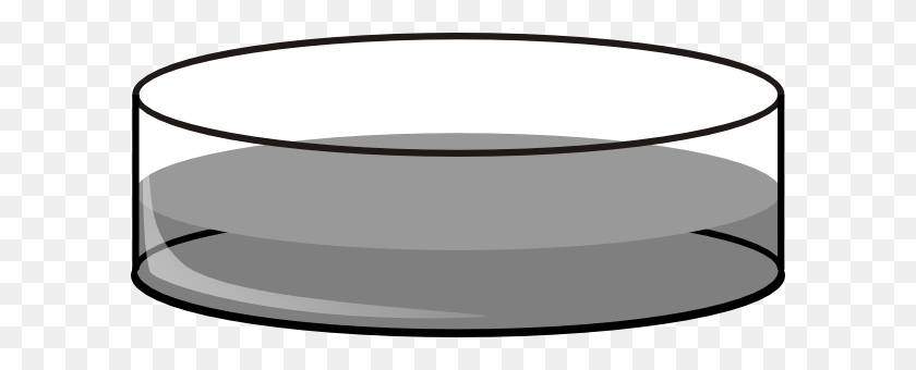 600x280 Free Download Of Petri Dish Vector Graphic - Coffee Table Clipart