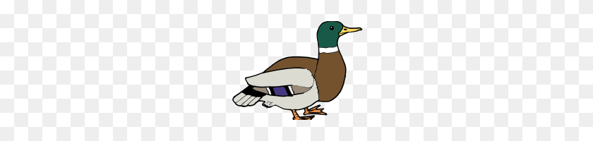 200x140 Free Duck Clipart Rubber Duck Scalable Vector Graphics Clip Art - Cute Duck Clipart