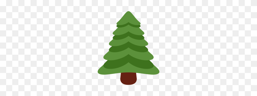 256x256 Free Evergreen, Tree, Christmas, Pine Icon Download Png - Evergreen PNG