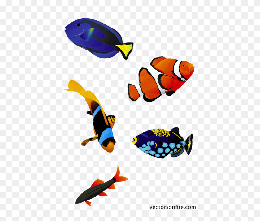 455x654 Бесплатный Клипарт И Векторная Графика Жареная Рыба - Жареная Рыба Png