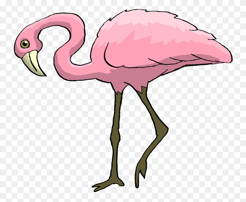 750x631 Free Flamingo Clipart - Flamingo Clipart Gratis