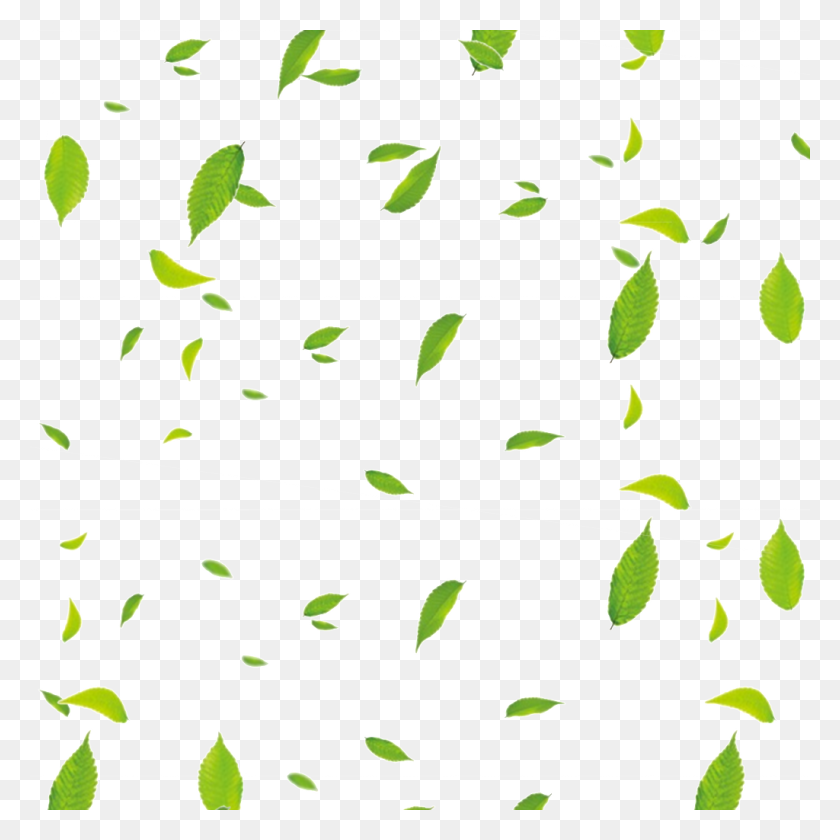 1024x1024 Free Floating Leaves Png, Vector, Free Download On Heypik - Green Leaves PNG
