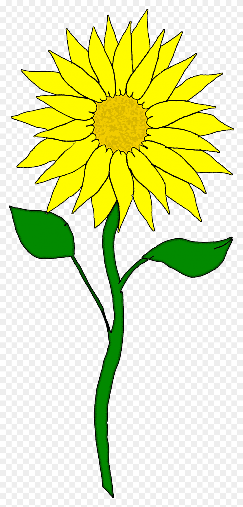 956x2068 Free Flower Clipart - Sunflower Clipart PNG