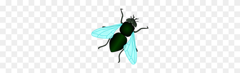 200x196 Mosca Png
