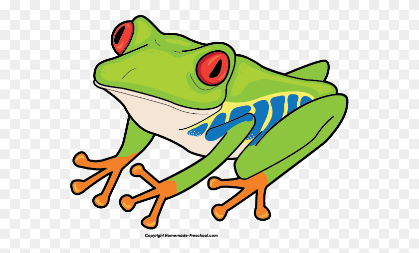 559x449 Free Frog Clipart, Ready For Personal And Commercial Projects - Poison Dart Frog Clipart