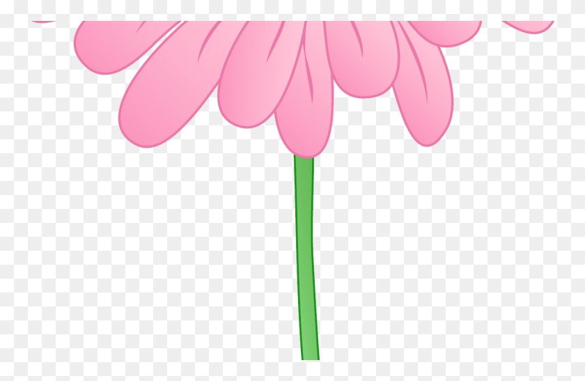 1368x855 Free Gerbera Daisy Clipart - Wilted Rose Clipart
