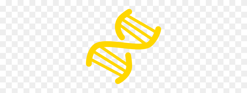 256x256 Free Gold Dna Helix Icon - Double Helix Clipart