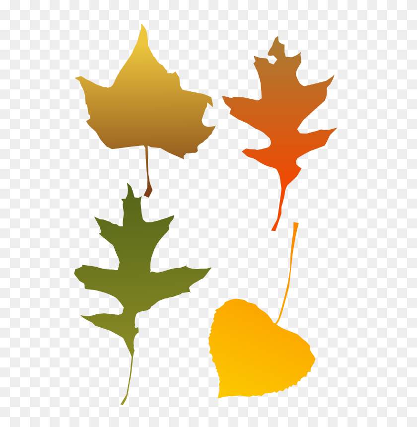 566x800 Free Graphics Of Trees And Leaves - Fall Scene Clipart