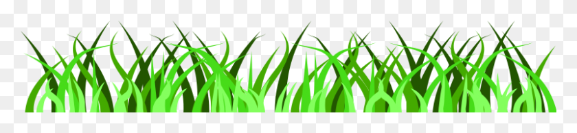 800x138 Free Grass Vector - Tall Grass PNG