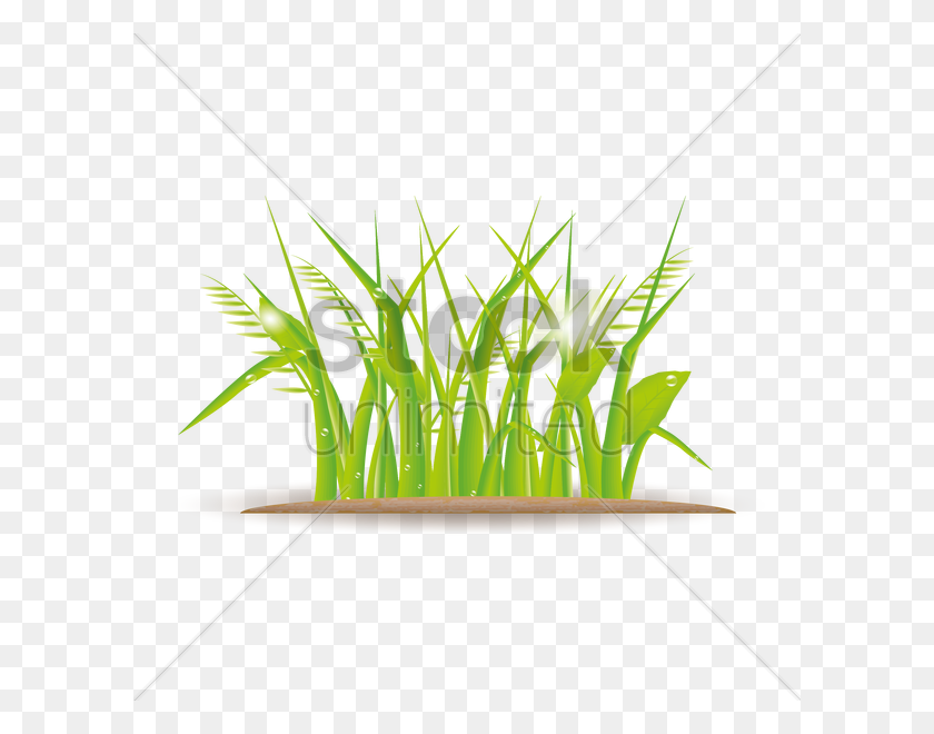 600x600 Free Grass Vector Image - Grass Vector PNG
