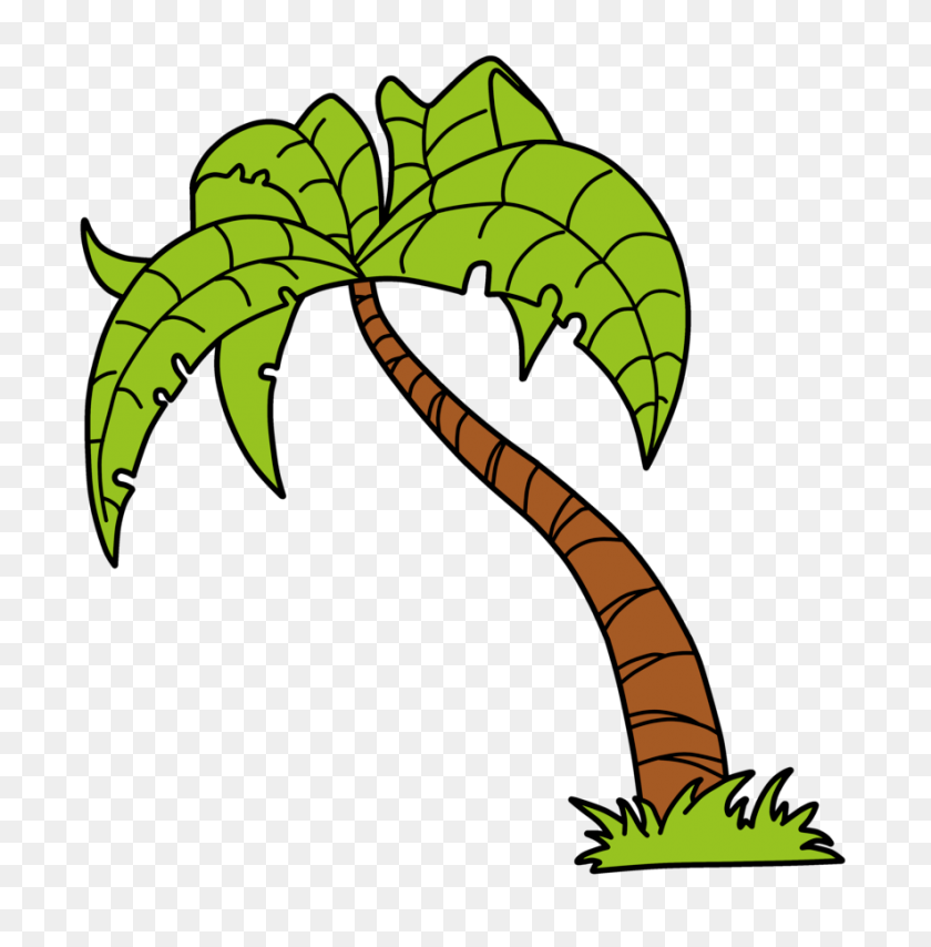 885x902 Free Green Palm Tree Vector - Tree Vector PNG