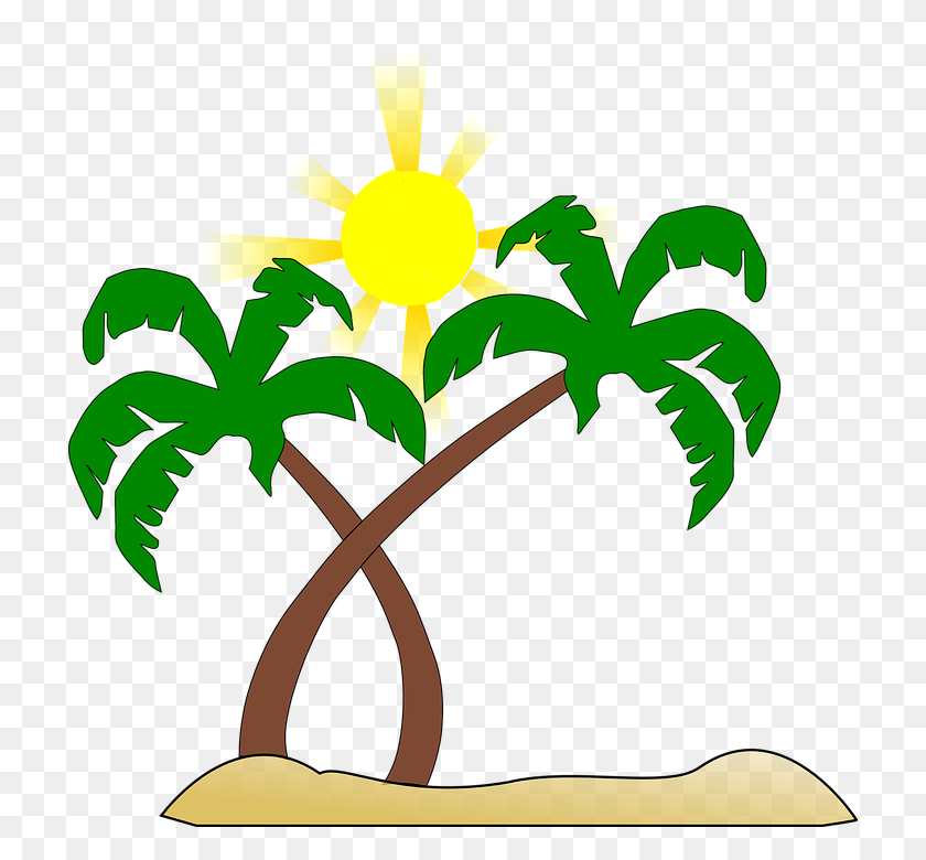 716x720 Бесплатные Гавайские Пальмы Клипарт Изображения - Пальмы Png