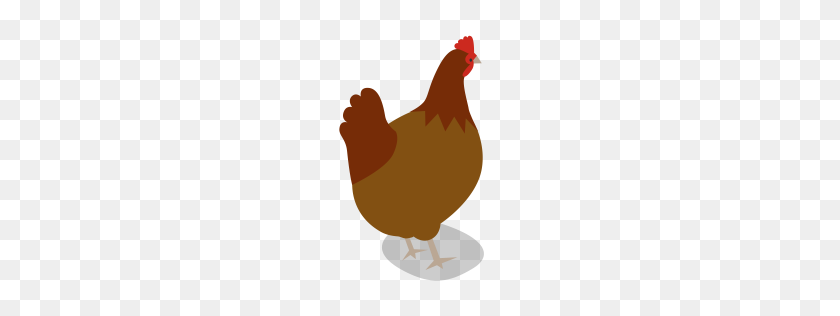 256x256 Free Hen Icon Download Png, Formats - Hen PNG