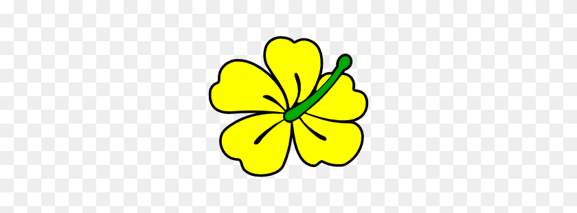 250x250 Бесплатный Клипарт Цветок Гибискуса - Желтый Цветок Клипарт