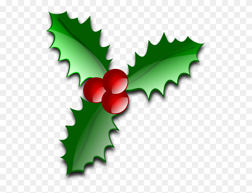555x584 Free Holly Clipart - Elegant Christmas Clipart