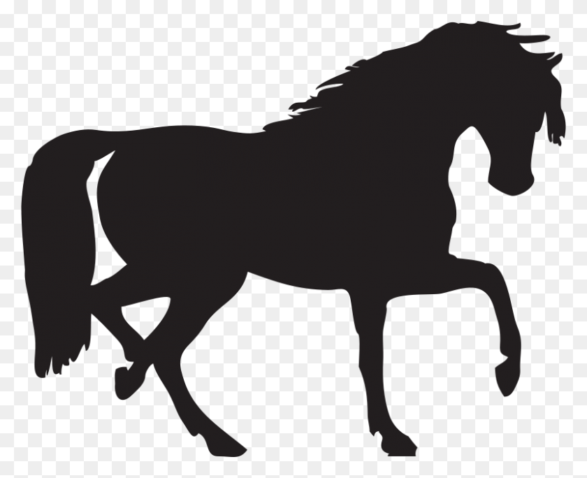 800x640 Free Horse Silhouette You Can Use To Make An Cricut - Rottweiler Clipart Black And White