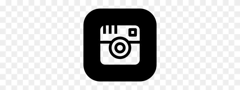 256x256 Free Instagram, Sign, Logo, Camera, Capture, Image Icon Download - Camera PNG Logo
