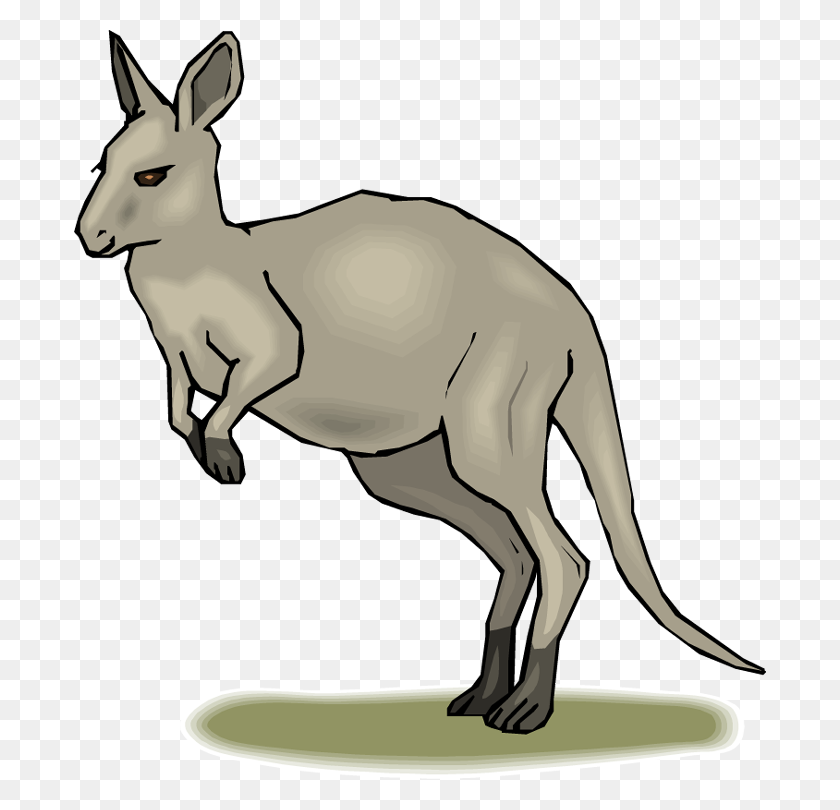 692x750 Free Kangaroo Clip Art Pictures - Map Clipart