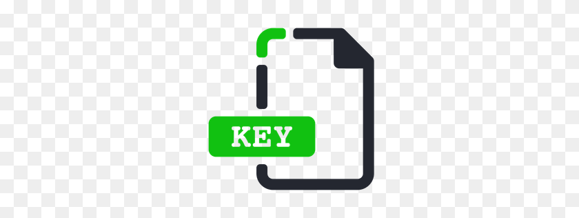 256x256 Free Key Icon Download Png, Formats - Key Icon PNG