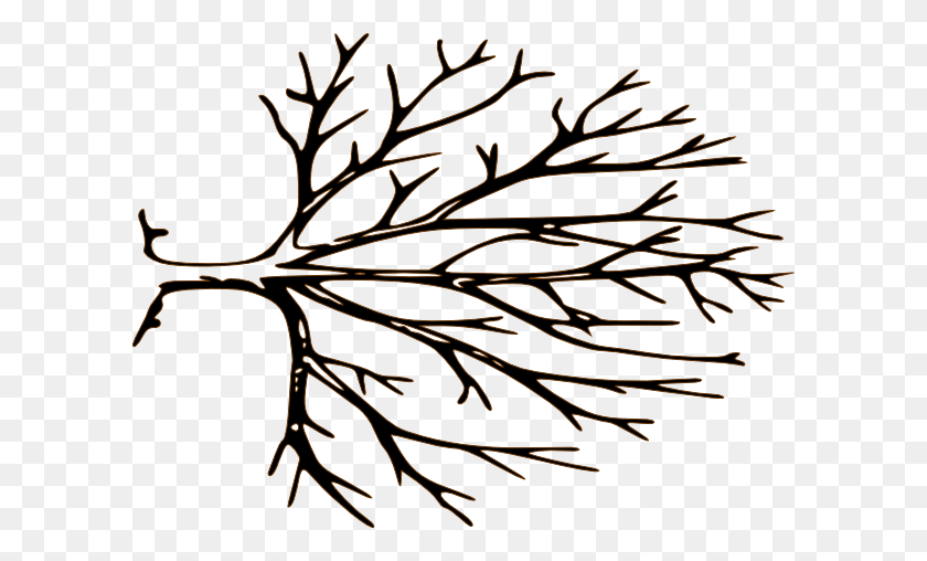 600x448 Free Leafless Tree Outline Printable - Shell Outline Clipart